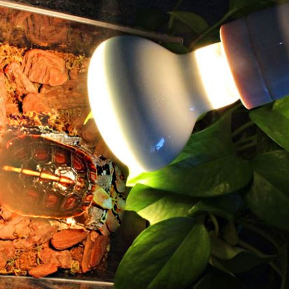 Basking Bulb Halogen - Контроллер температуры для обогревателя для рептилий,