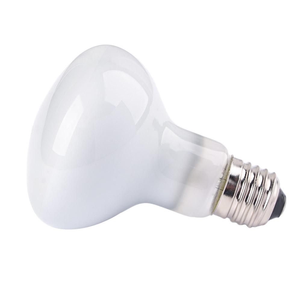 Basking Bulb Halogen - Лампа для обогрева рептилий: галогенная лампа-регулятор