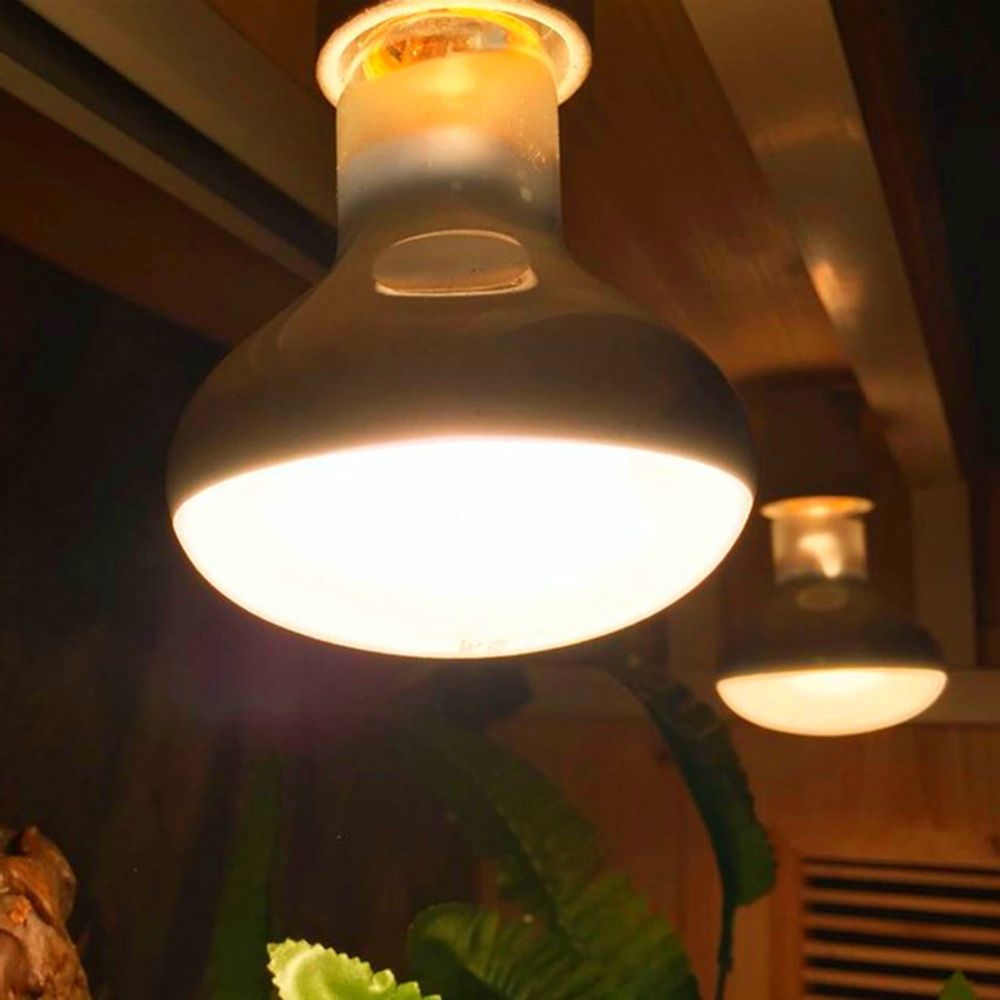 Basking Bulb Halogen - Регулятор температуры черепахи, тепловая лампа, греющий
