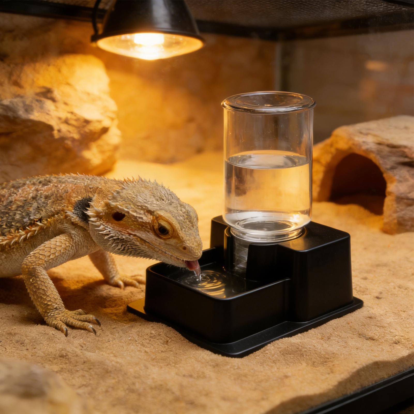 Water Dish Reptile - Автоматический фонтан-поилка для рептилий: для бородатых
