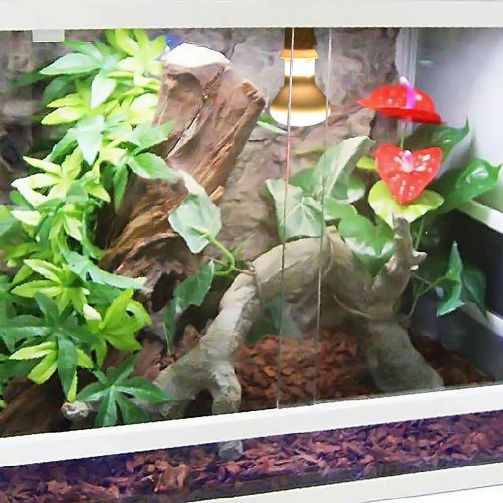 Basking Bulb Halogen - Контроллер температуры для черепах, галогенная лампа