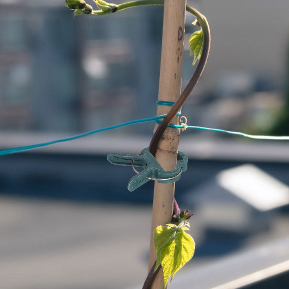 Vine Climbing Plastic - 50 шт. садовых зажимов для вьющихся
