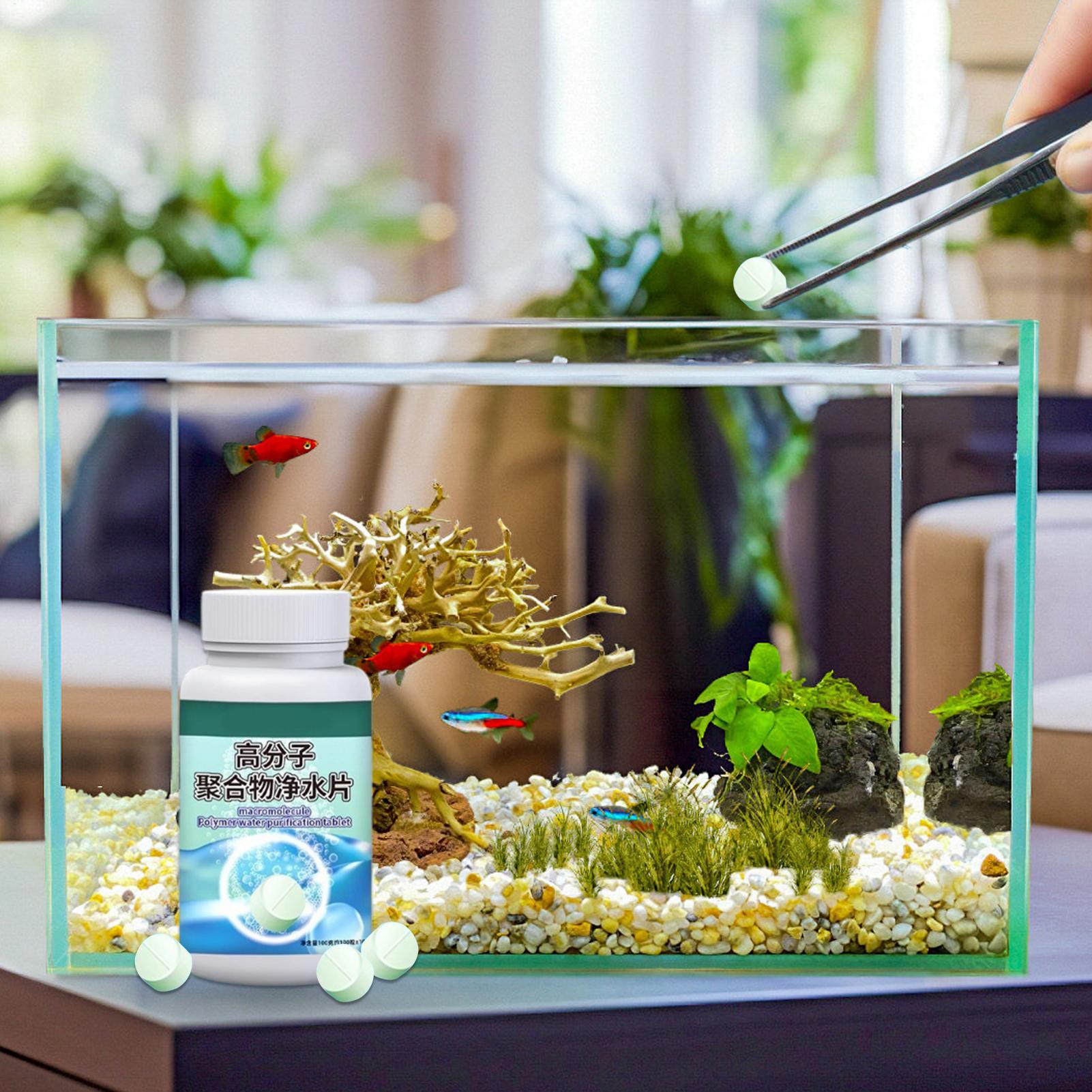 Таблетки для удаления водоросл – обзор и цена Water Dish Reptile