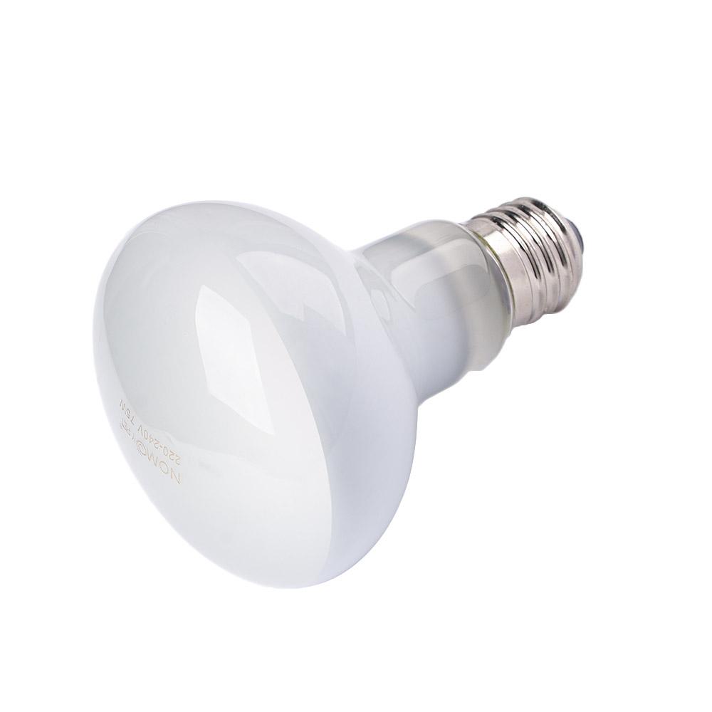 Контроллер температуры для обо – обзор и цена Basking Bulb Halogen