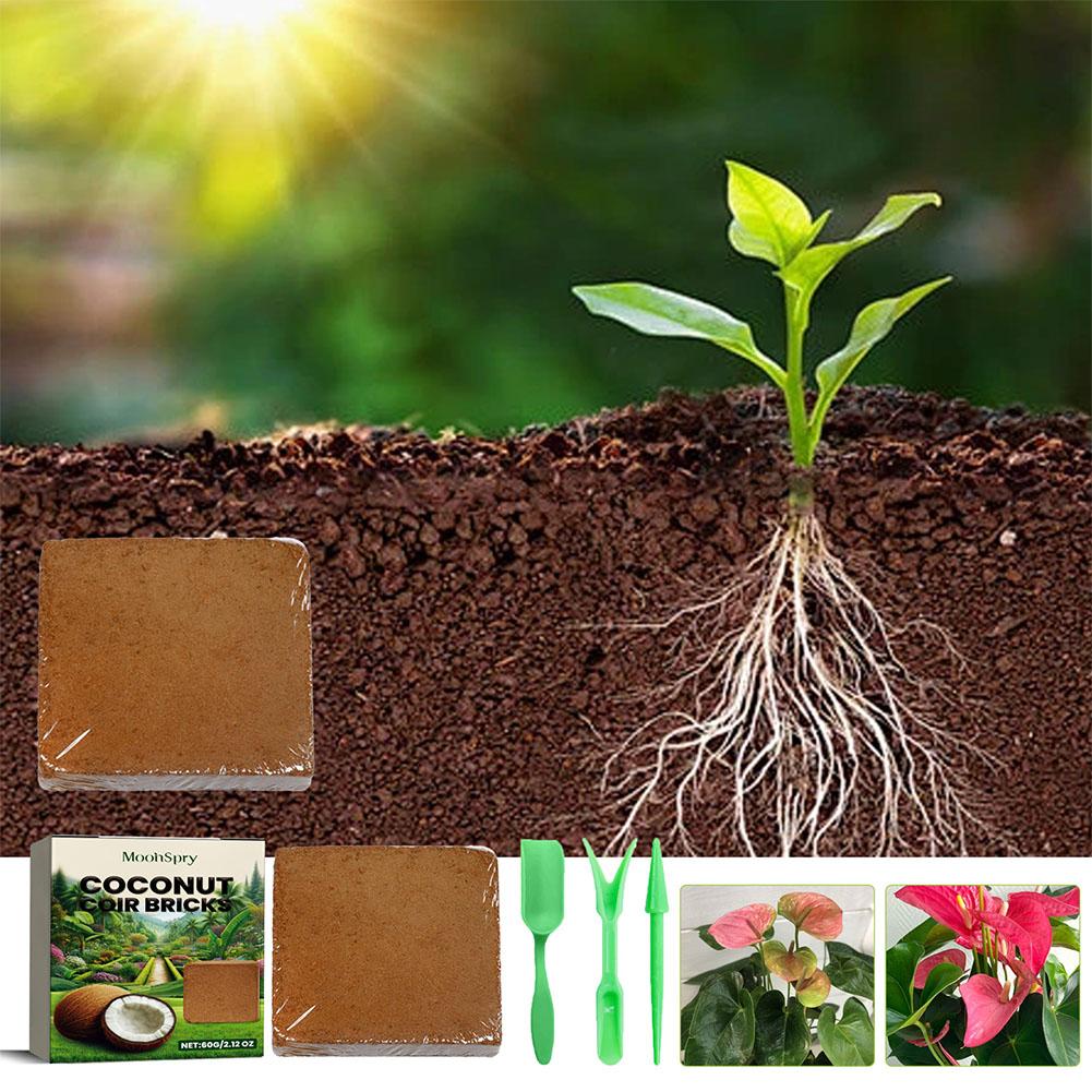 Рептилия, кокосовая почва, спи – обзор и цена Substrate Coconut Fiber