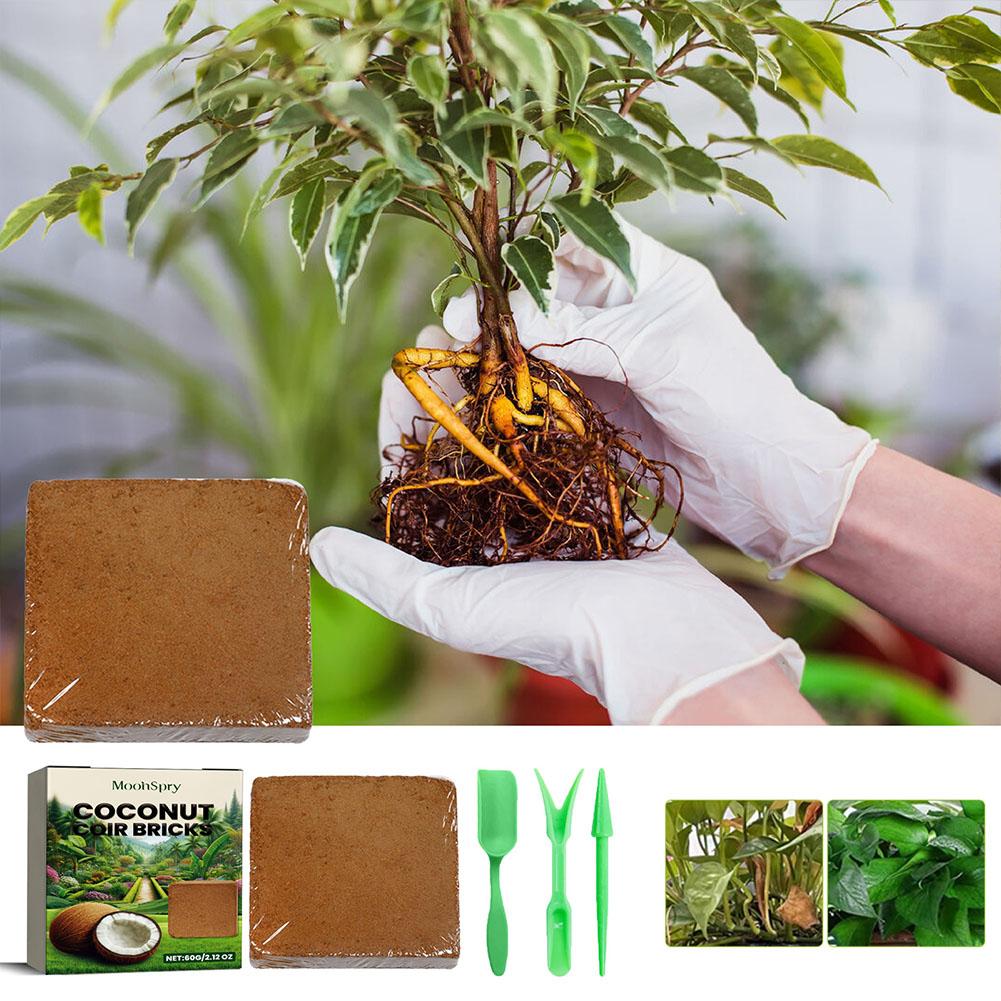 Рептилия, кокосовая почва, спи – обзор и цена Substrate Coconut Fiber