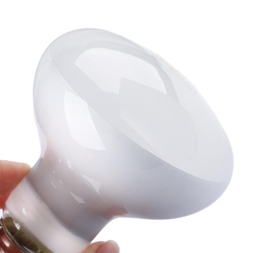 Контроллер температуры для обо – обзор и цена Basking Bulb Halogen