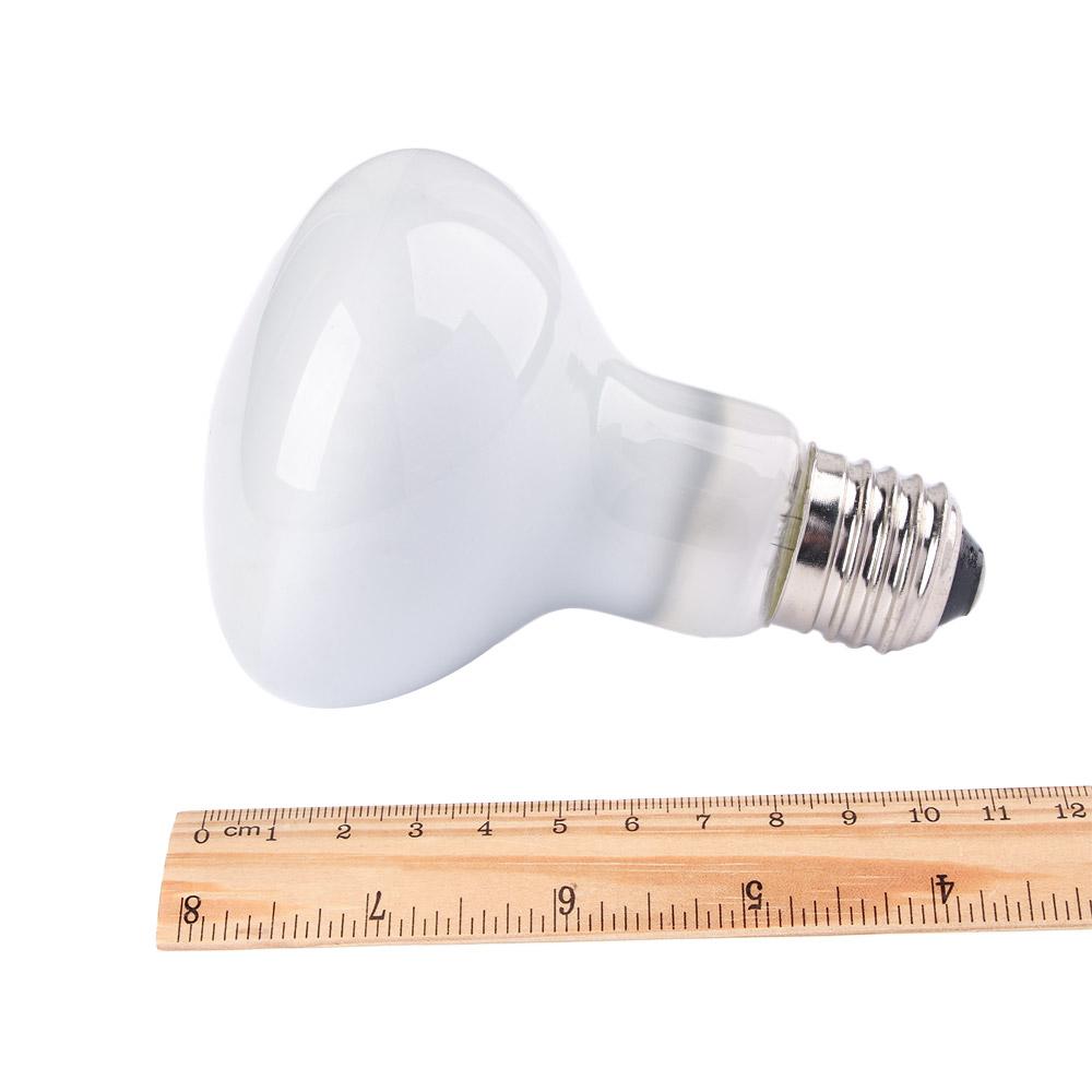 Контроллер температуры для обо – обзор и цена Basking Bulb Halogen