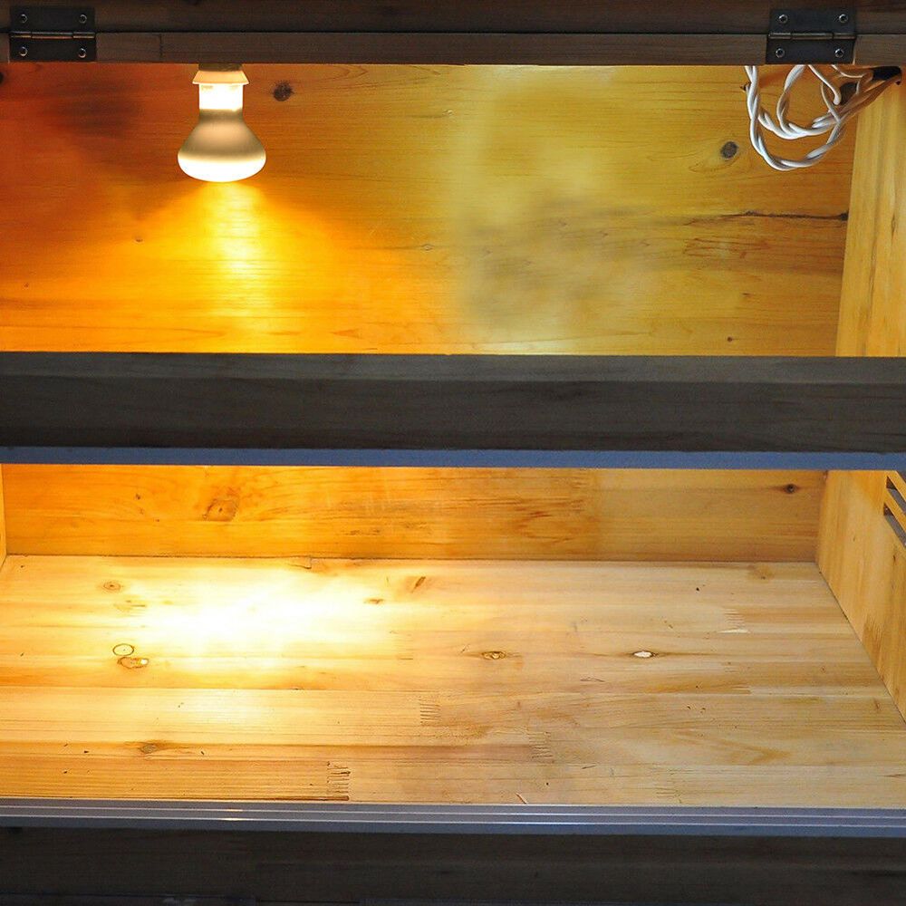 Лампа для обогрева рептилий: г – обзор и цена Basking Bulb Halogen
