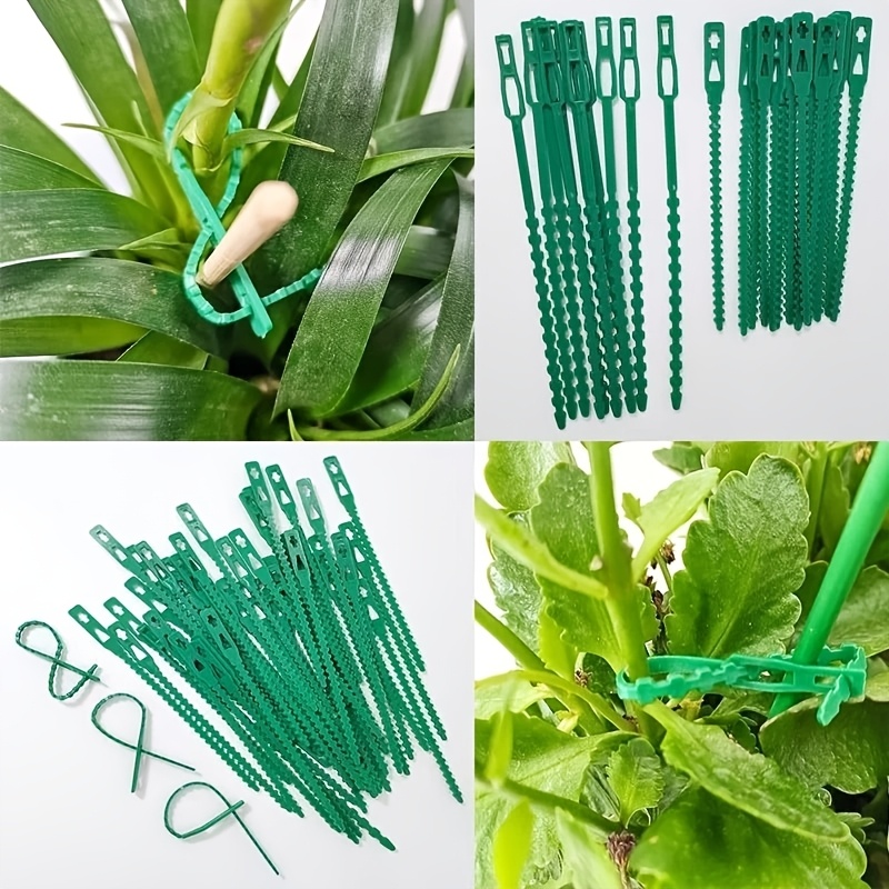 100 шт. многоразовых регулируе – обзор и цена Vine Climbing Plastic