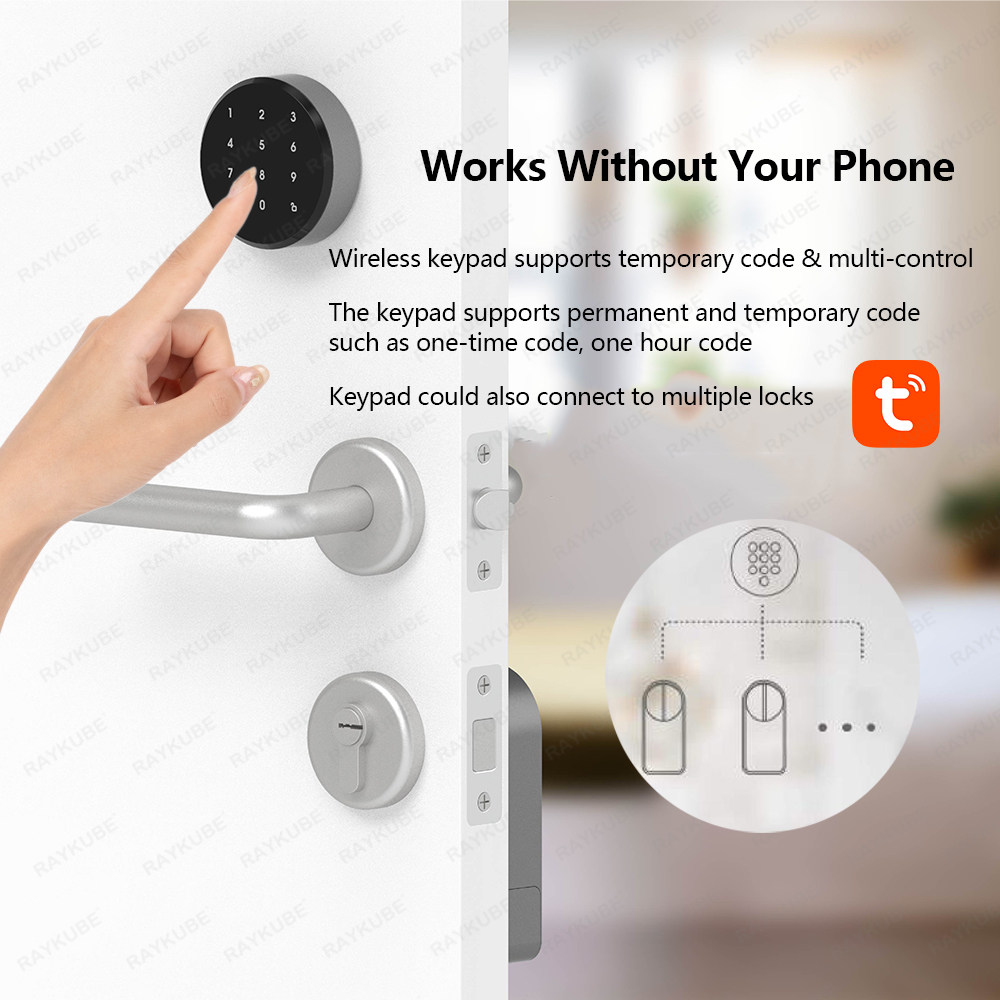 RAYKUBE A1 Pro Tuya BEL Набор  – обзор и цена Glass Door Hinge