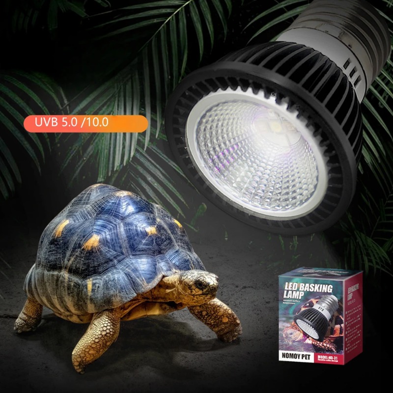 NOMOY Рептилия 110/220 В UVB + – обзор и цена Calcium Powder Reptile