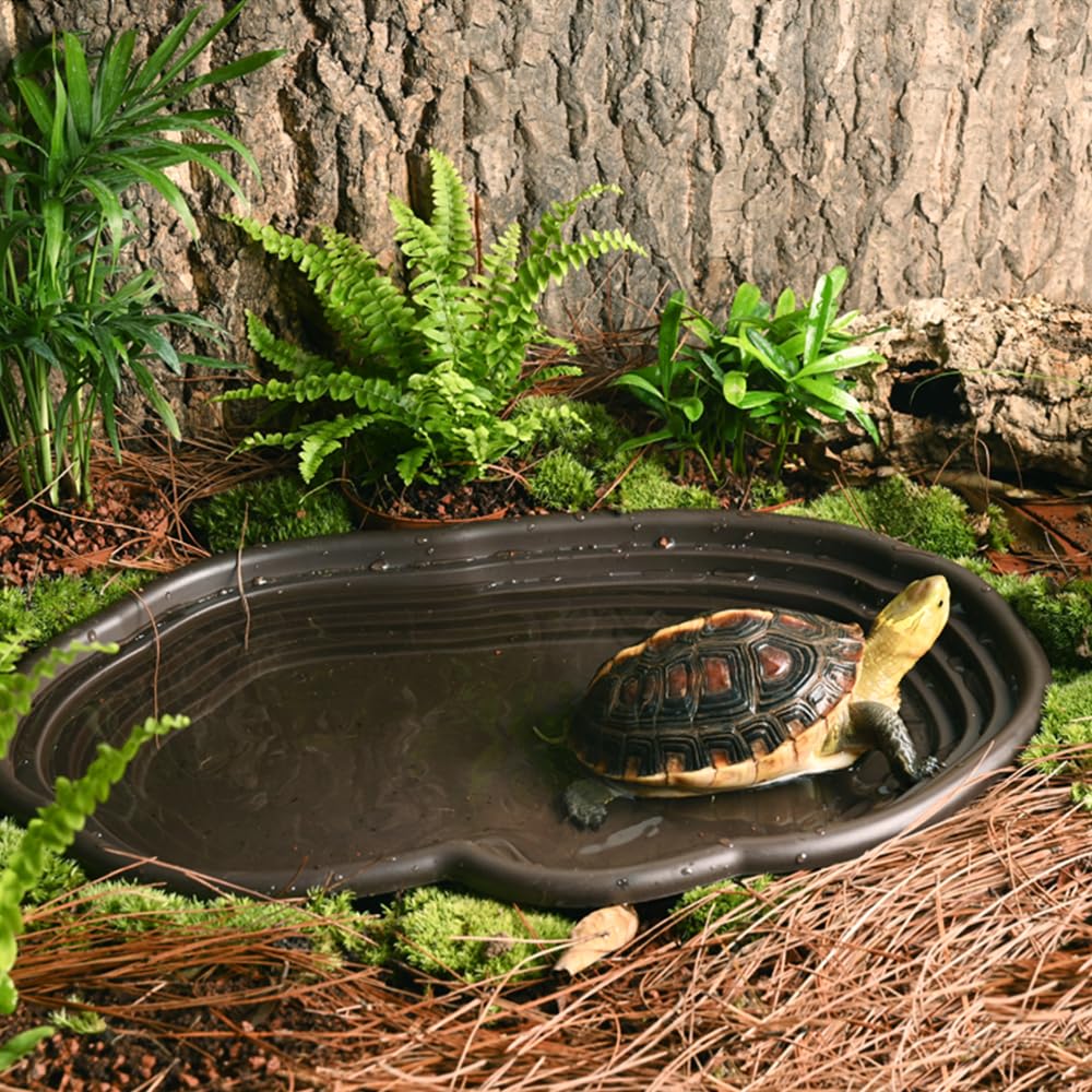 Блюдо для купания рептилий, ам – обзор и цена Water Dish Reptile