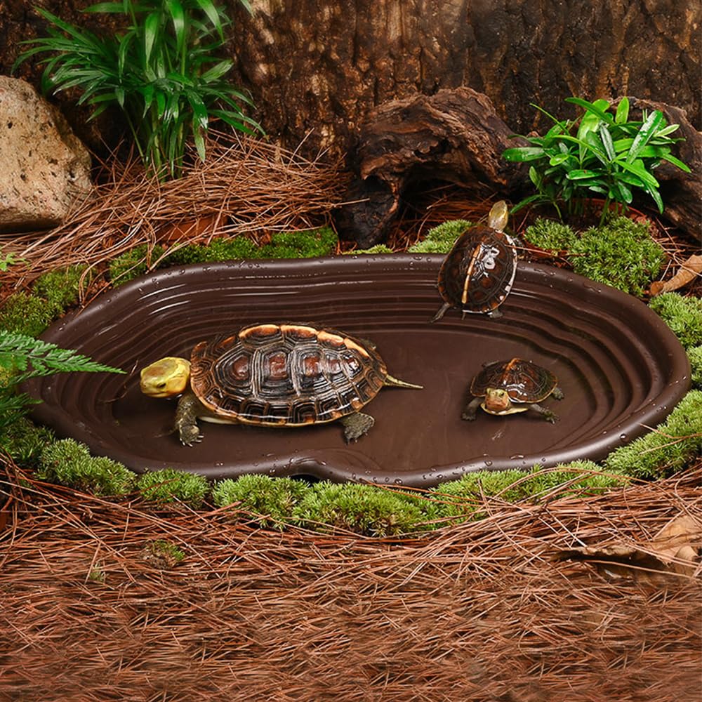 Блюдо для купания рептилий, ам – обзор и цена Water Dish Reptile