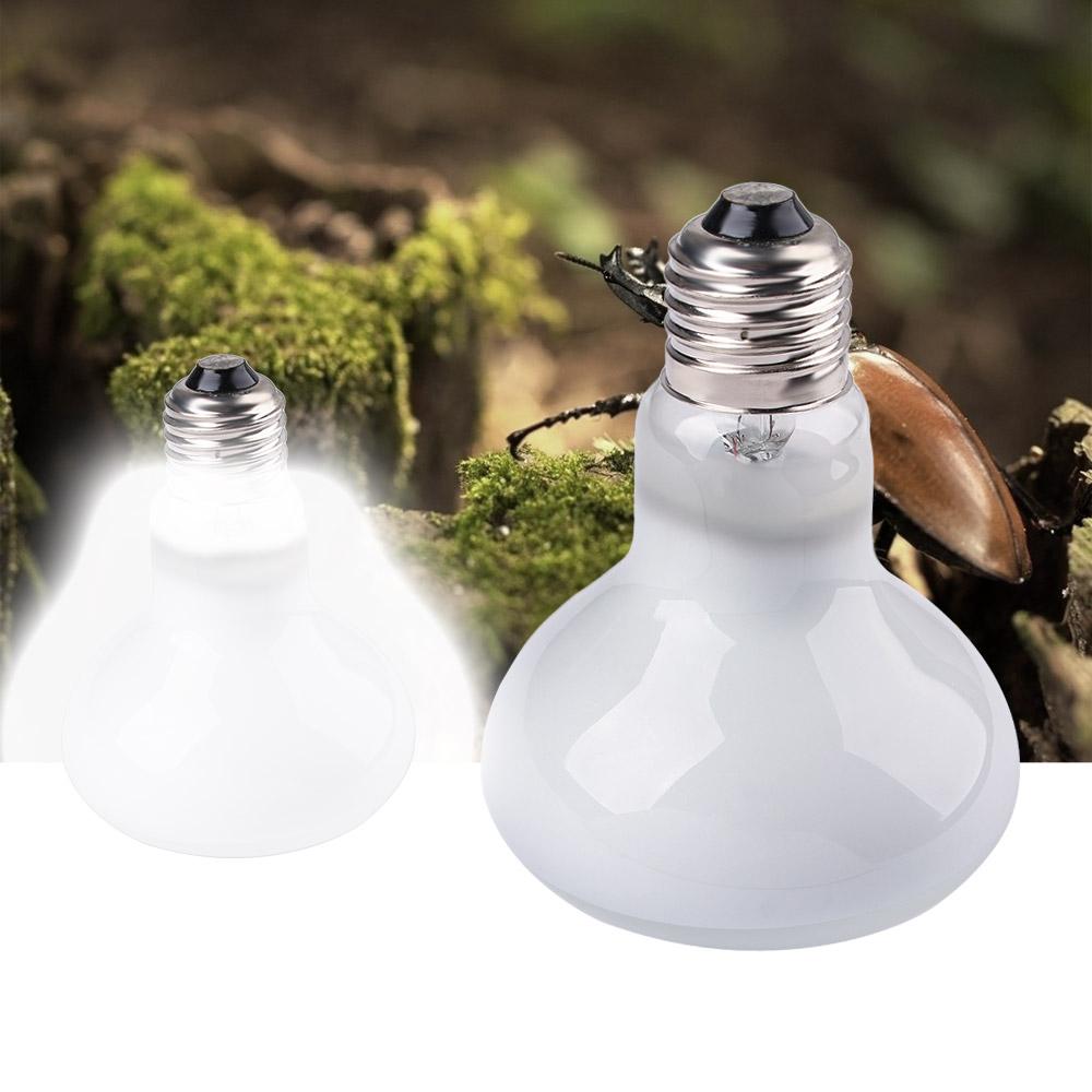 Лампа-обогреватель для черепах – обзор и цена Basking Bulb Halogen