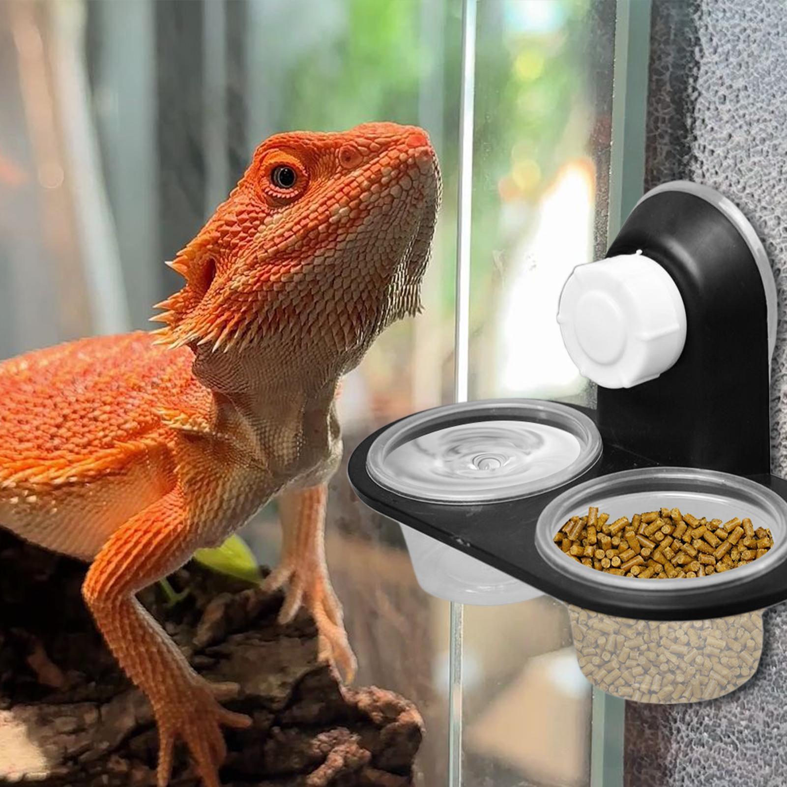 Миска для кормления гекконов,  – обзор и цена Water Dish Reptile