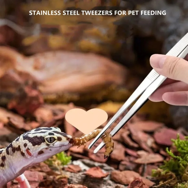 Многофункциональные пинцеты-щи – обзор и цена Feeding Tong Stainless