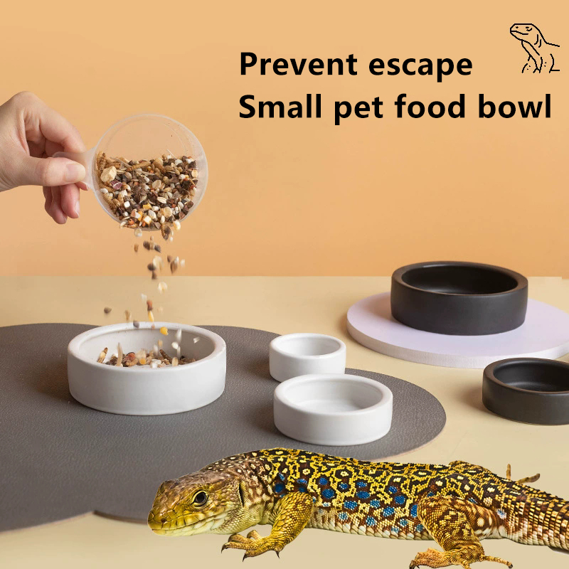 ГОРЯЧО! Керамическая миска для – обзор и цена Water Dish Reptile
