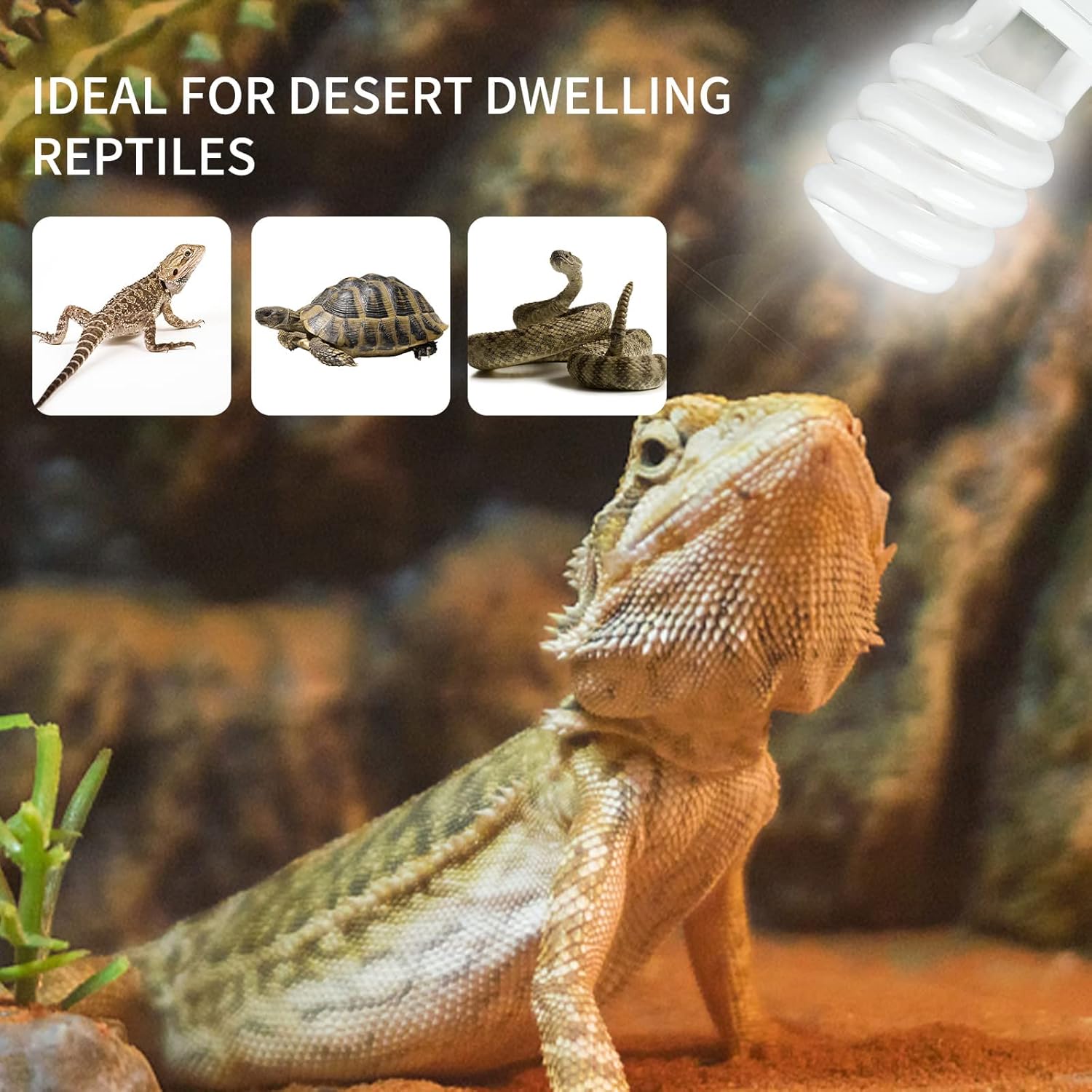 UVB 5,0 10,0 лампа для нагрева – обзор и цена Calcium Powder Reptile
