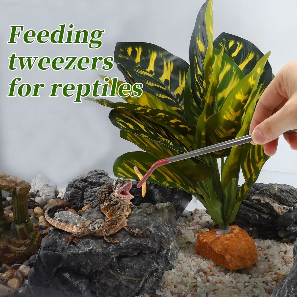 Пинцет для кормления аквариума – обзор и цена Feeding Tong Stainless