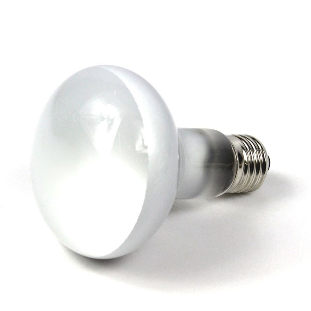 Терморегулятор для лампы-обогр – обзор и цена Basking Bulb Halogen