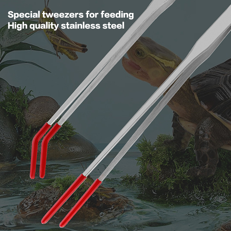 Щипцы для кормления рептилий с – обзор и цена Feeding Tong Stainless