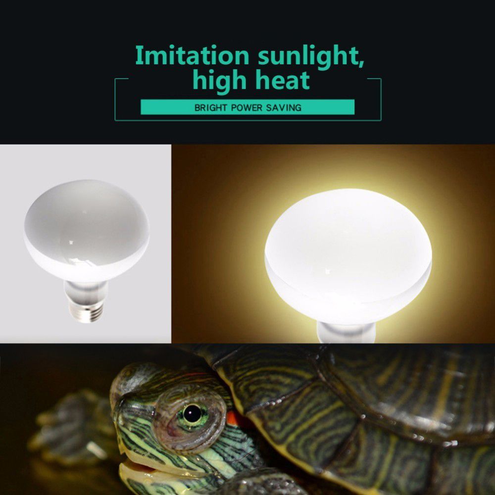 Лампа для обогрева амфибий с т – обзор и цена Basking Bulb Halogen
