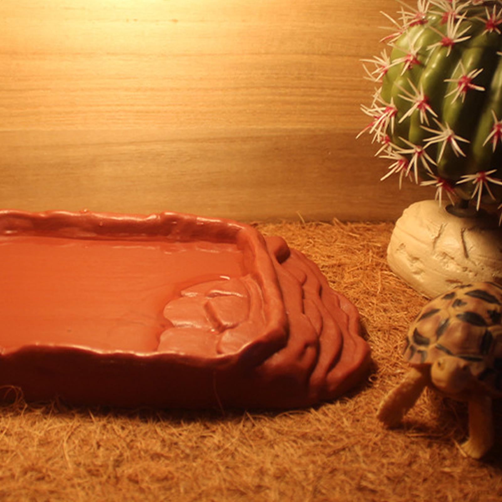 Ванна для черепах, поилка, про – обзор и цена Water Dish Reptile