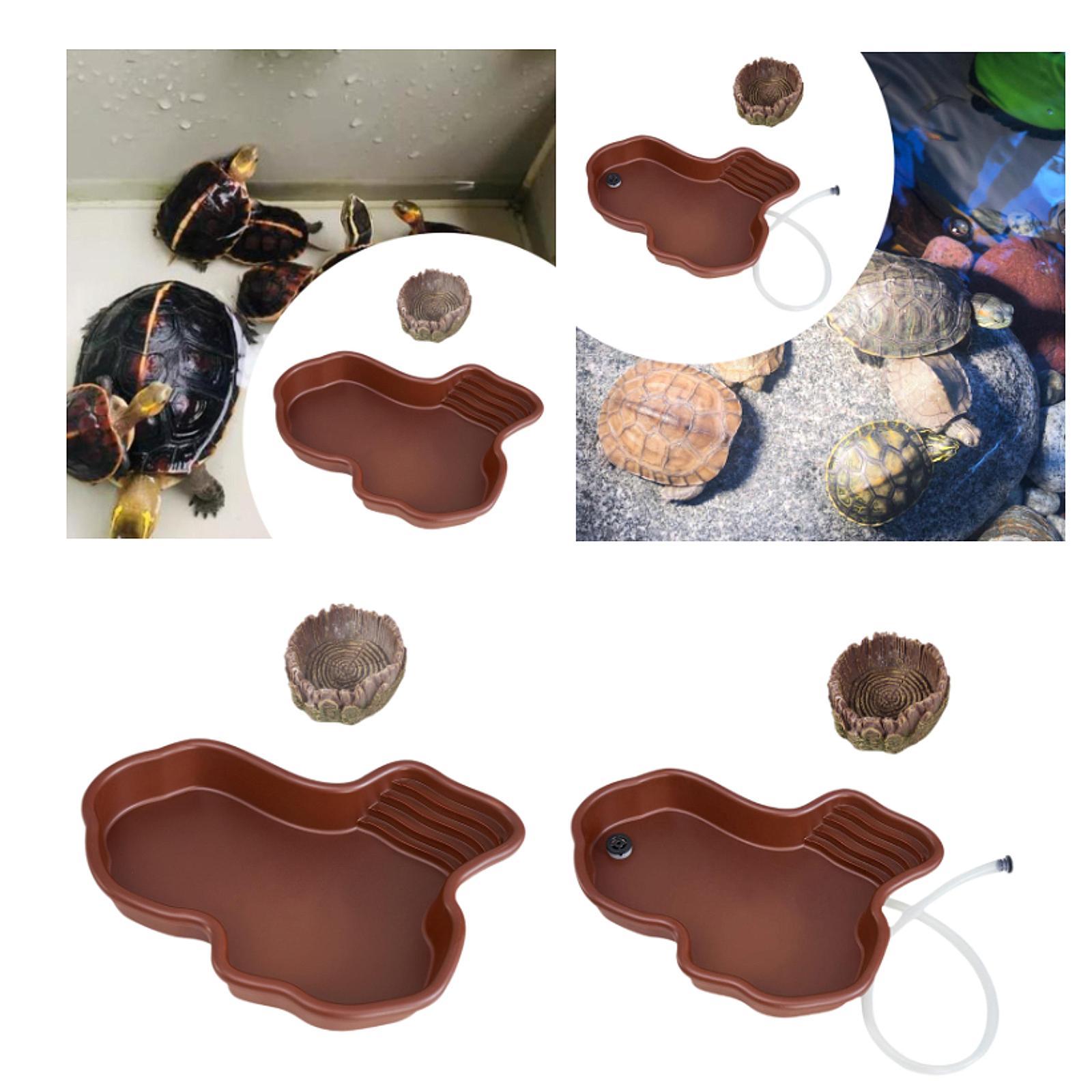 Блюдо для кормления рептилий,  – обзор и цена Water Dish Reptile